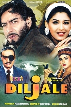 Watch And Download Movie Diljale For Free!