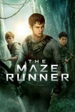 Movie poster: The Maze Runner