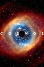 Movie poster: Cosmos