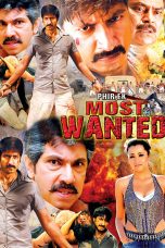 Movie poster: Phir Ek Most Wanted
