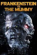 Movie poster: Frankenstein vs. The Mummy