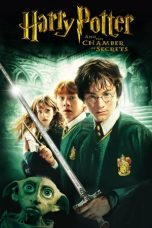Movie poster: Harry Potter and the Chamber of Secrets 2002