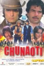Movie poster: Chunaoti