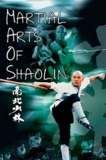 Movie poster: Martial Arts of Shaolin