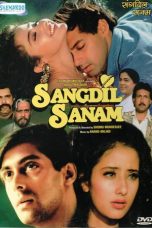 Movie poster: Sangdil Sanam