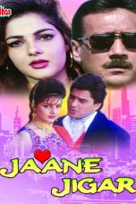 Movie poster: Jaane Jigar