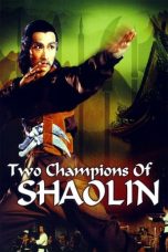 Movie poster: Two Champions of Shaolin