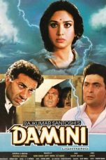 Movie poster: Damini