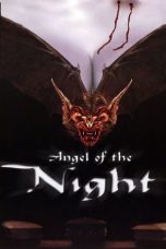 Movie poster: Angel of the Night