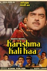 Movie poster: Karishma Kali Kaa