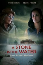 Movie poster: A Stone in the Water