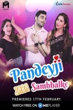Movie poster: Pandeyji Zara Sambhalke Season 1