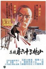 Movie poster: Return to the 36th Chamber