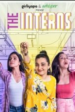 Movie poster: The Interns Season 1