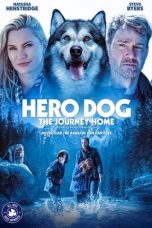 Movie poster: Hero Dog: The Journey Home