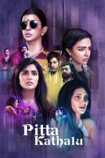 Movie poster: Pitta Kathalu