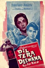 Movie poster: Dil Tera Diwana 1962
