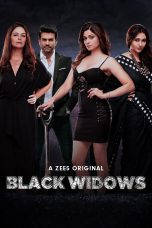 Movie poster: Black Widows Season 1 Complete