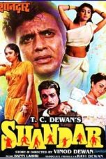 Movie poster: Shandaar
