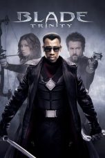 Movie poster: Blade: Trinity