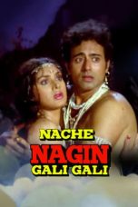 Movie poster: Nache Nagin Gali Gali