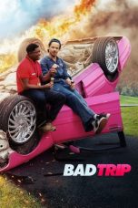 Movie poster: Bad Trip