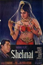 Movie poster: Shehnai