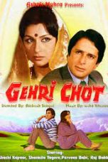 Movie poster: Gehri Chot