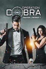 Movie poster: Operation Cobra