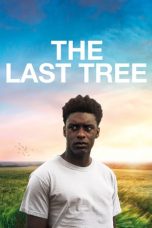 Movie poster: The Last Tree