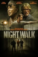 Movie poster: Night Walk