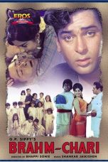 Movie poster: Brahmachari