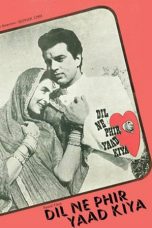 Movie poster: Dil Ne Phir Yaad Kiya