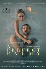 Movie poster: A Perfect Enemy