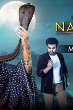 Movie poster: Naagmani 2