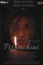 Movie poster: PISHACHINI