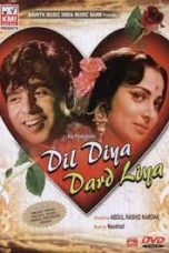 Movie poster: Dil Diya Dard Liya