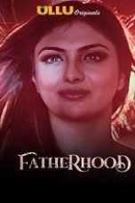 Movie poster: Fatherhood Season 1 Complete