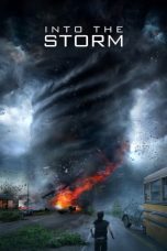 Movie poster: Into the Storm 05012024