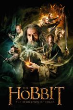 Movie poster: The Hobbit: The Desolation of Smaug