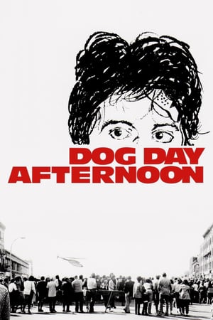Watch And Download Movie Video Dog Day Afternoon For Free!