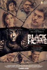 Movie poster: Black Home