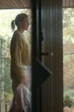 Movie poster: The Chestnut Man Season 1 Episode 5