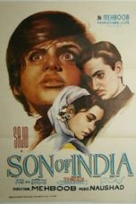 Movie poster: Son of India