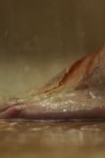 Movie poster: Who Killed Sara? Season 2 Episode 5