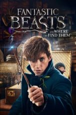 Movie poster: Fantastic Beasts and Where to Find Them