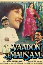 Movie poster: Yaadon Ke Mausam