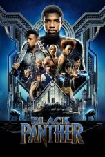 Movie poster: Black Panther 082024