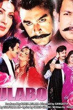 Movie poster: Gulaabo