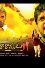 Movie poster: Seetharamudu